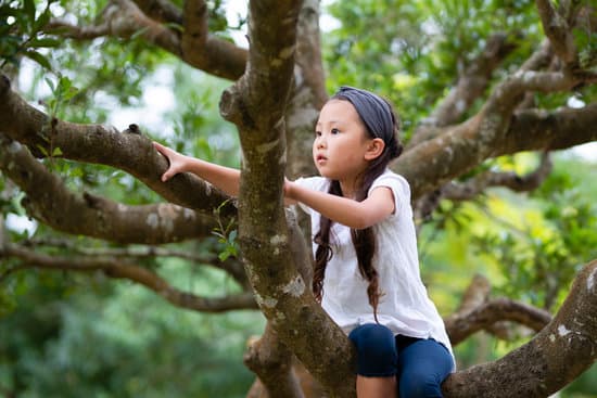 girl climbing a tree